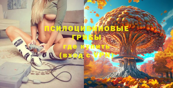 шишки Алексеевка
