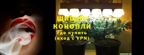 трава Алзамай