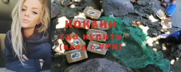 шишки Алексеевка