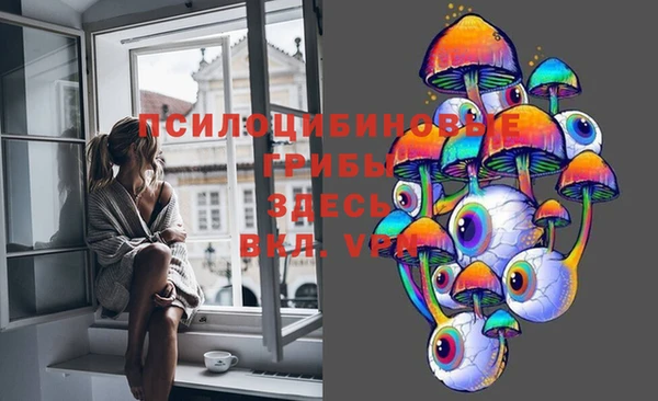 PSILOCYBIN Алексин