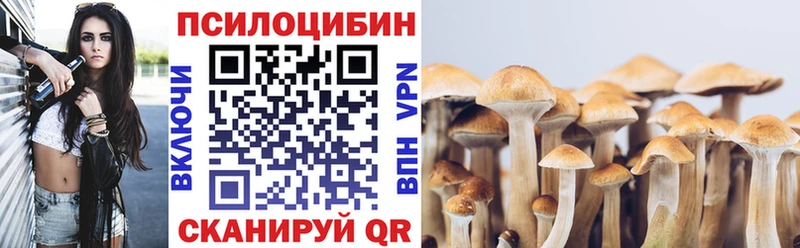 Псилоцибиновые грибы ЛСД где купить наркоту нарко площадка состав Губкин